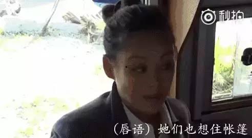 吃瓜娱乐圈许晴,娱乐圈的瓜田女王,揭秘不老女神的瓜界传奇